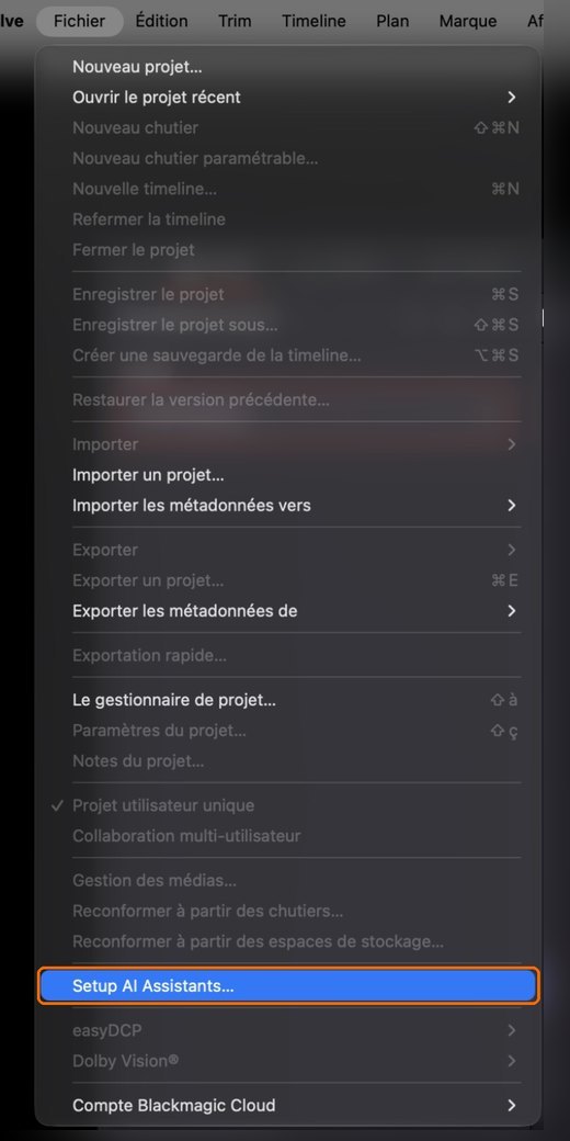 Fichier › Setup AI Assistants…, en bas du menu.